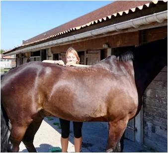 Equine osteopathie