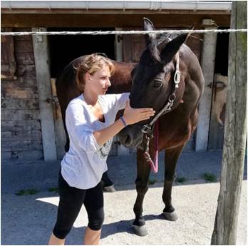 Equine osteopathie